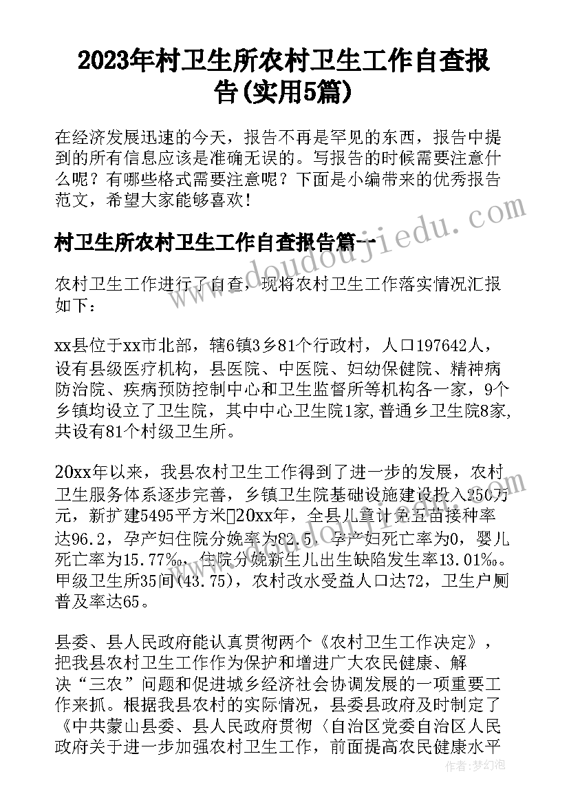 2023年村卫生所农村卫生工作自查报告(实用5篇)