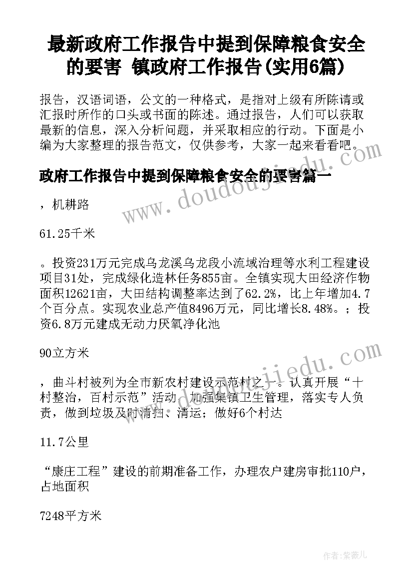 最新政府工作报告中提到保障粮食安全的要害 镇政府工作报告(实用6篇)