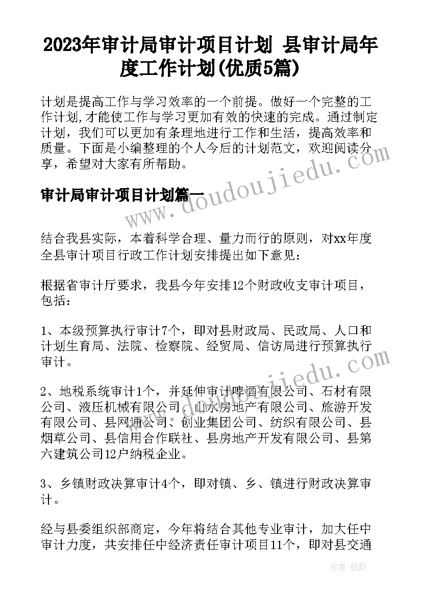 2023年审计局审计项目计划 县审计局年度工作计划(优质5篇)