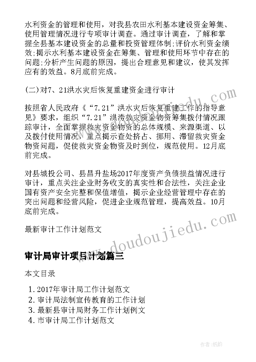 2023年审计局审计项目计划 县审计局年度工作计划(优质5篇)