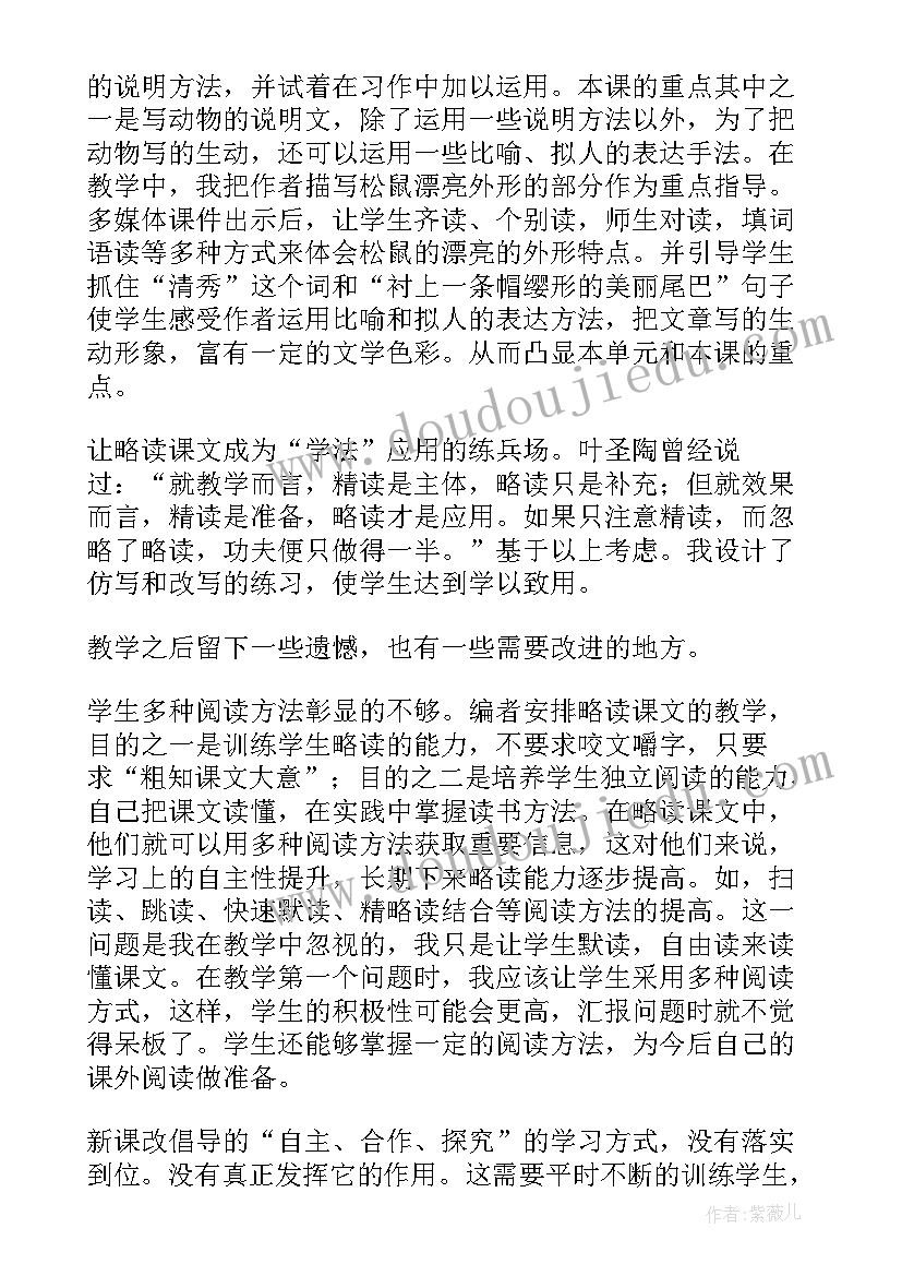 最新学画松鼠教学反思与评价 松鼠教学反思(模板5篇)