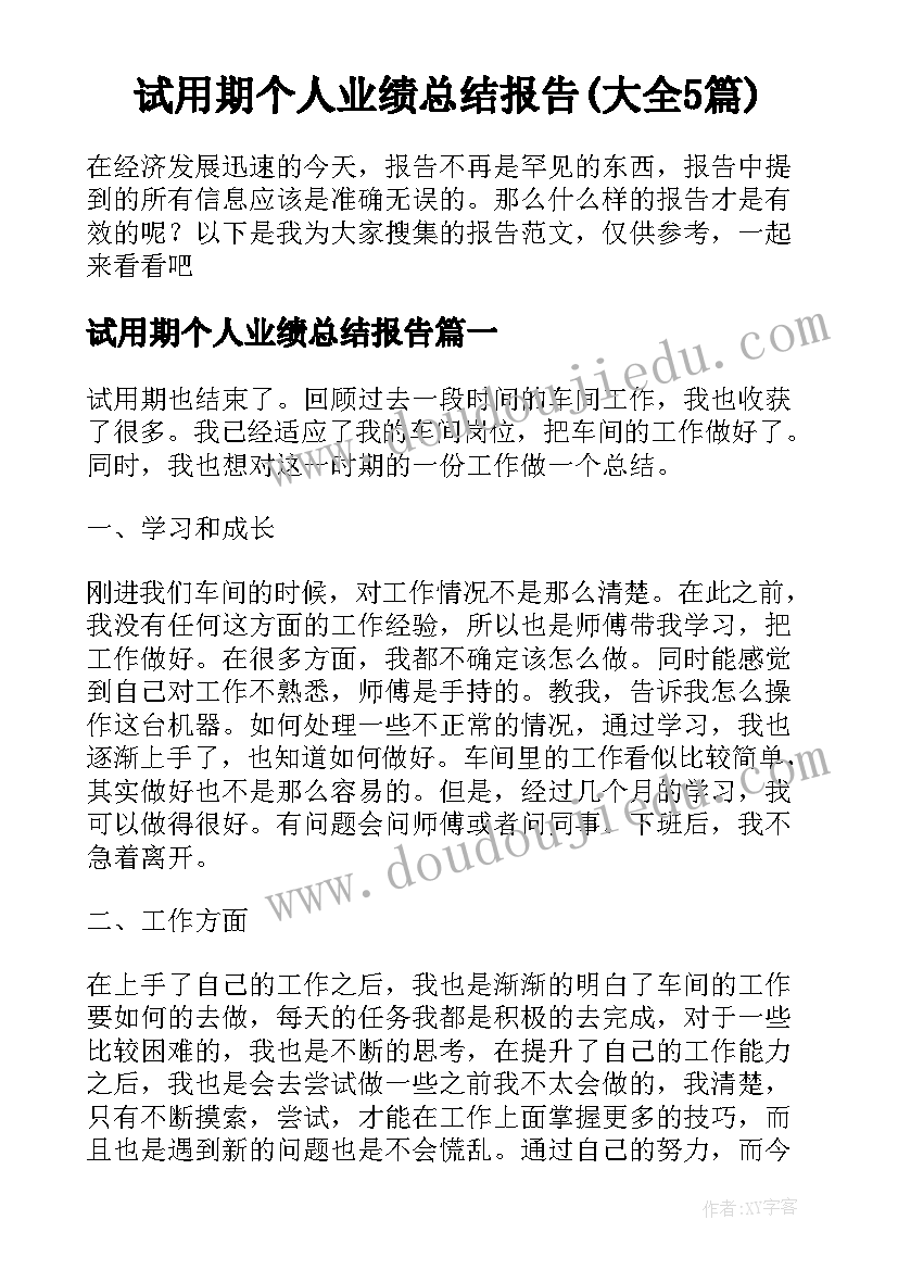 试用期个人业绩总结报告(大全5篇)