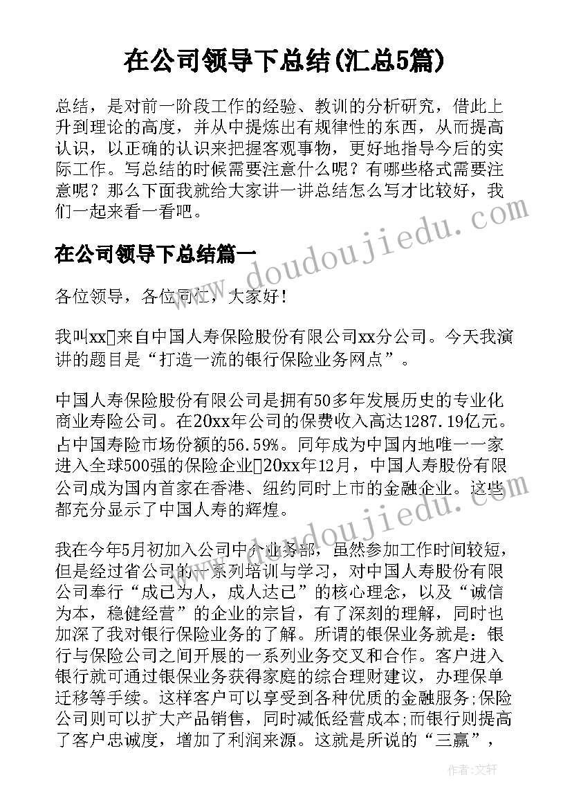 在公司领导下总结(汇总5篇)