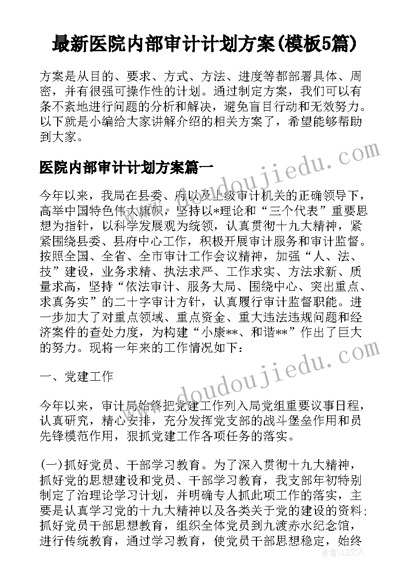 最新医院内部审计计划方案(模板5篇)