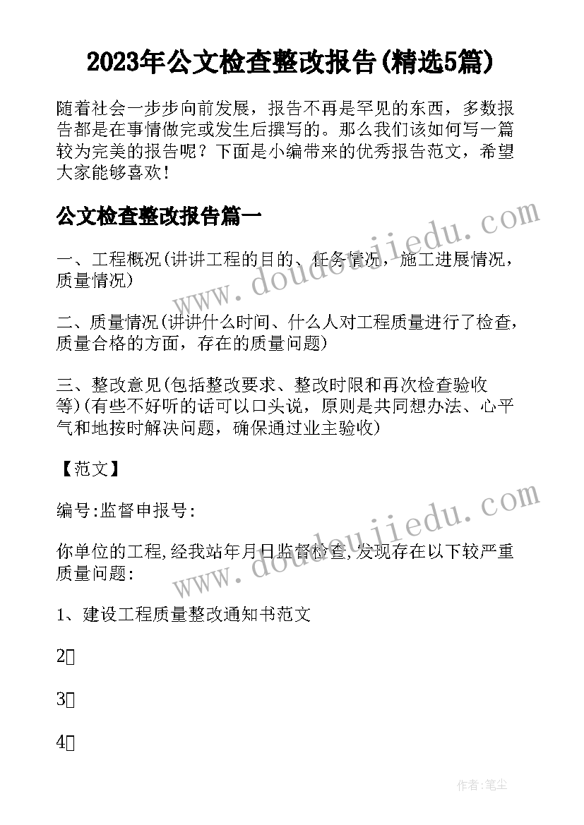 2023年公文检查整改报告(精选5篇)