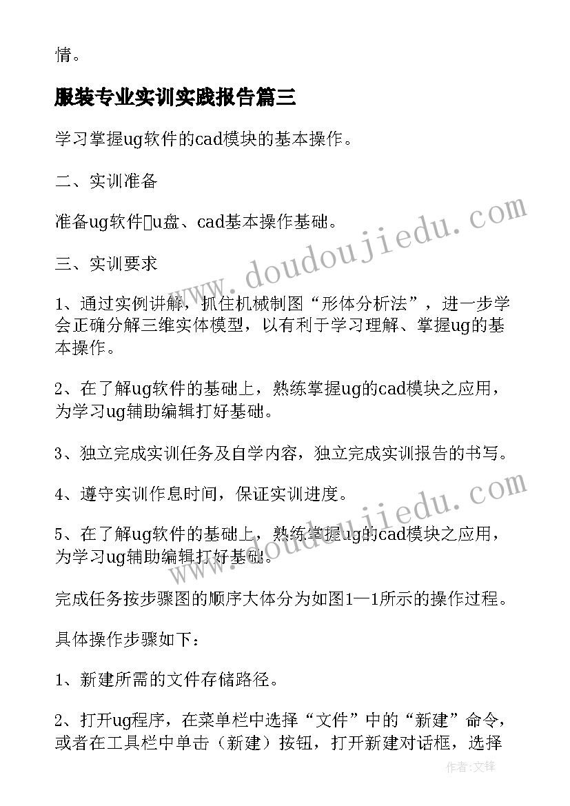 2023年服装专业实训实践报告(汇总5篇)