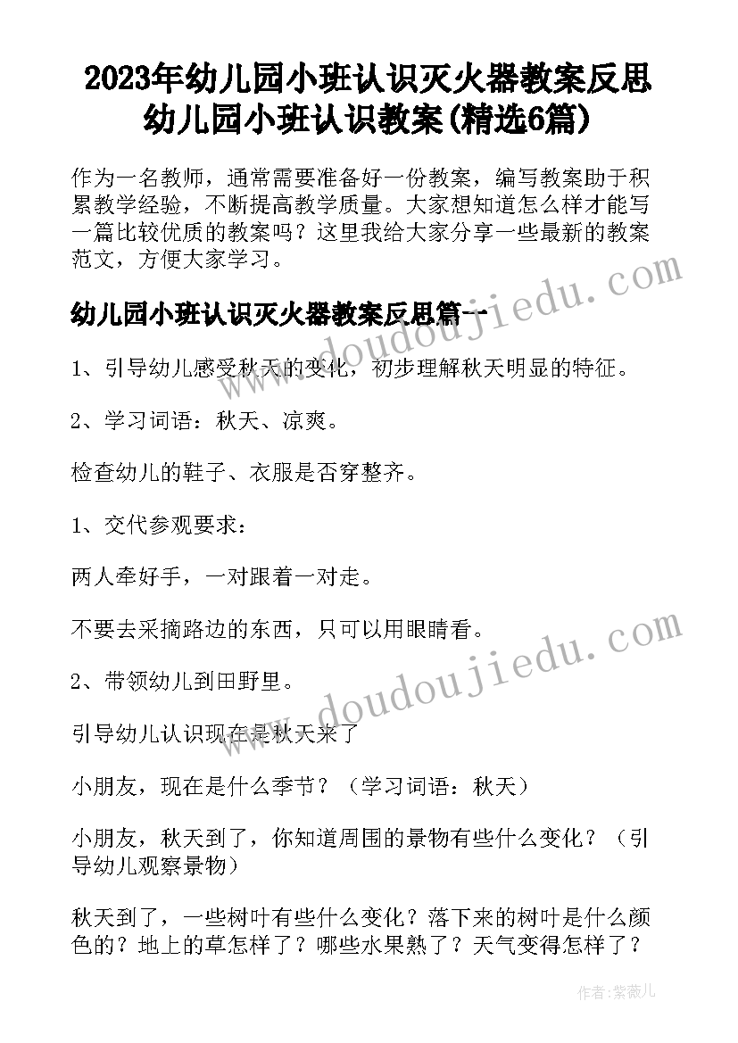 2023年幼儿园小班认识灭火器教案反思 幼儿园小班认识教案(精选6篇)