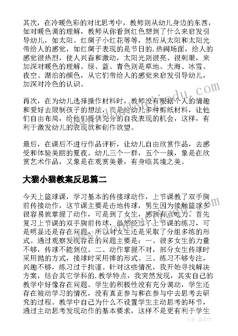 最新大猫小猫教案反思 大班教学反思(实用7篇)