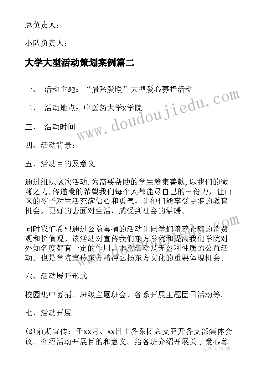 2023年大学大型活动策划案例(通用5篇)