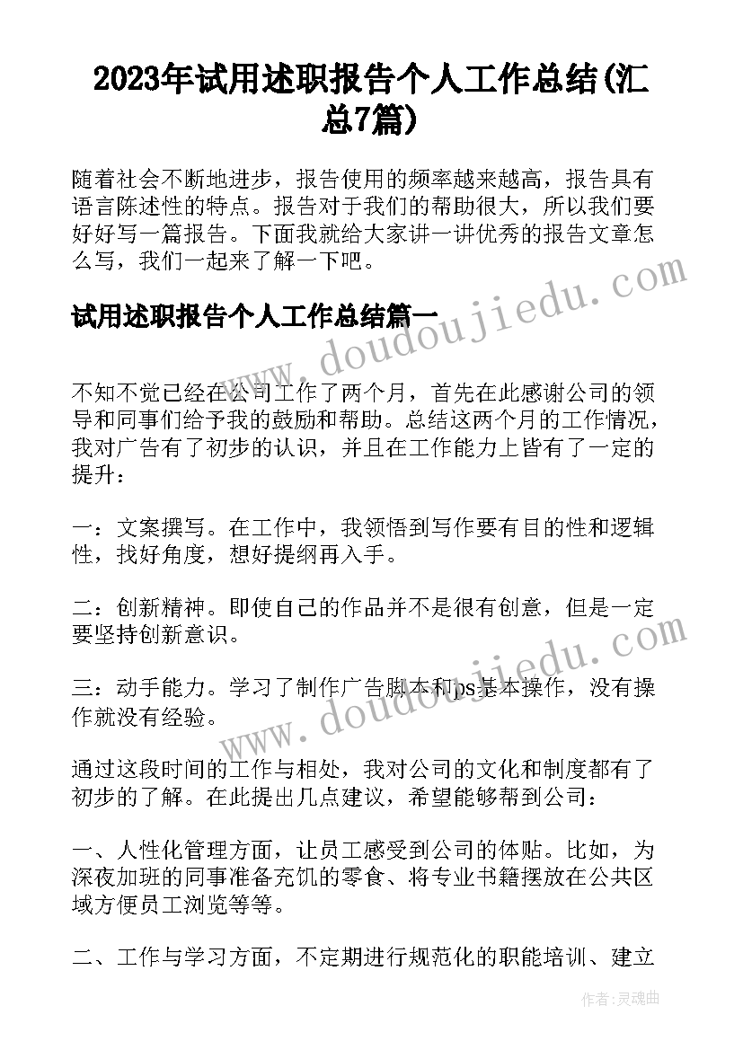 2023年试用述职报告个人工作总结(汇总7篇)