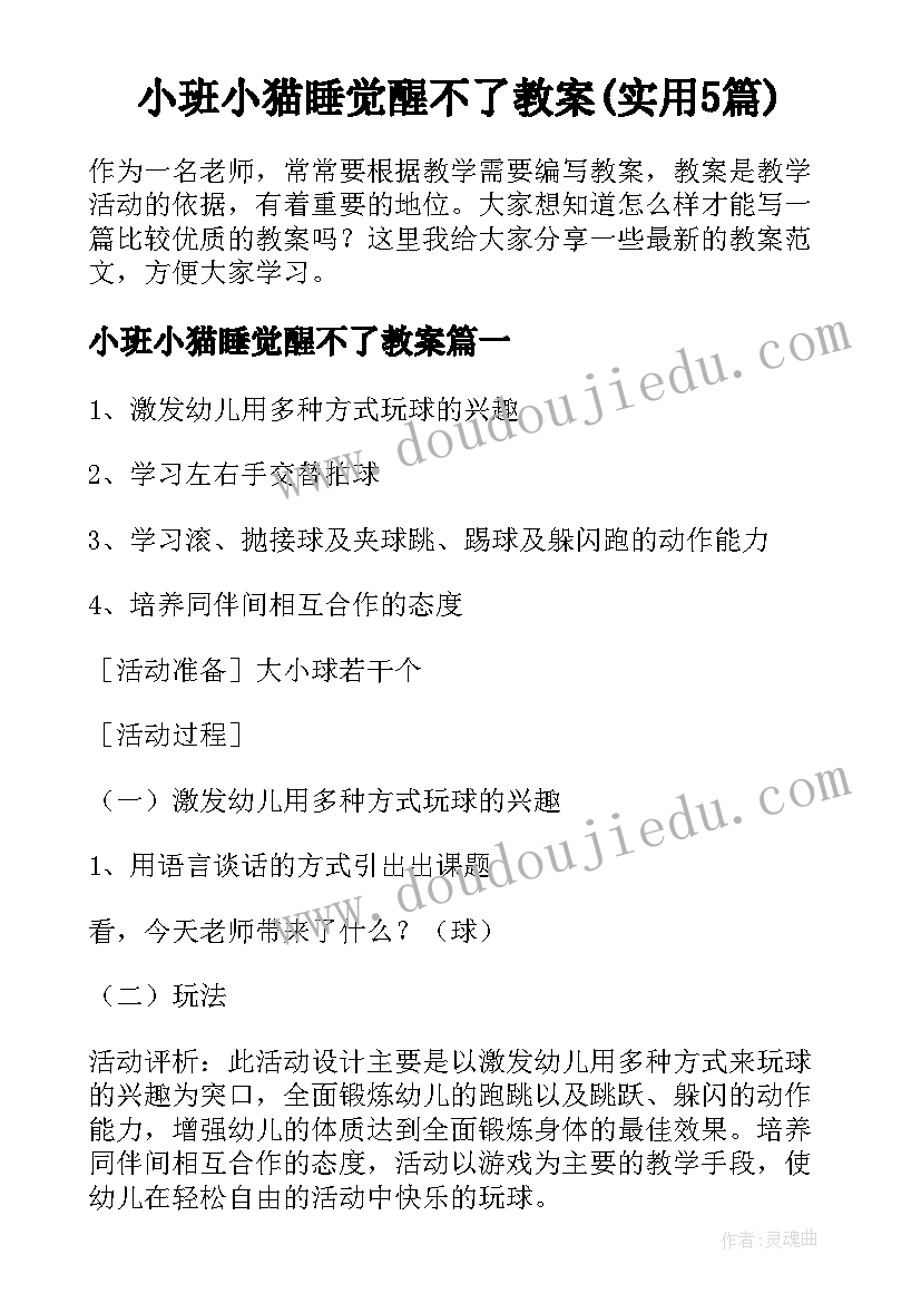 小班小猫睡觉醒不了教案(实用5篇)