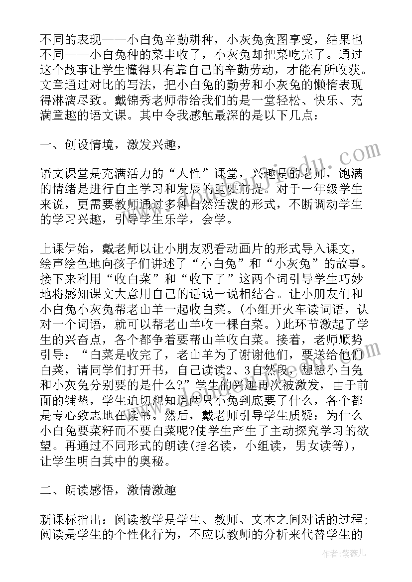 最新大班小白兔和大灰狼的故事教案 桃树下的小白兔的教学反思(优秀5篇)