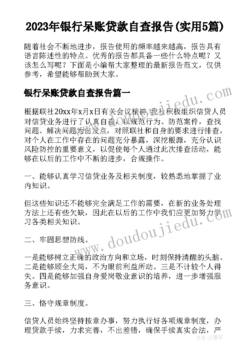 2023年银行呆账贷款自查报告(实用5篇)