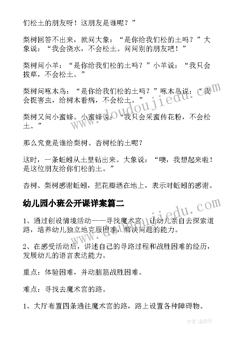 2023年幼儿园小班公开课详案 幼儿园教师公开课活动方案(汇总5篇)