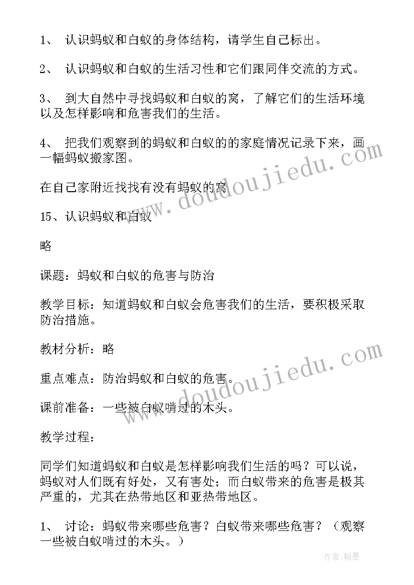 最新小学美工实践活动方案(大全10篇)