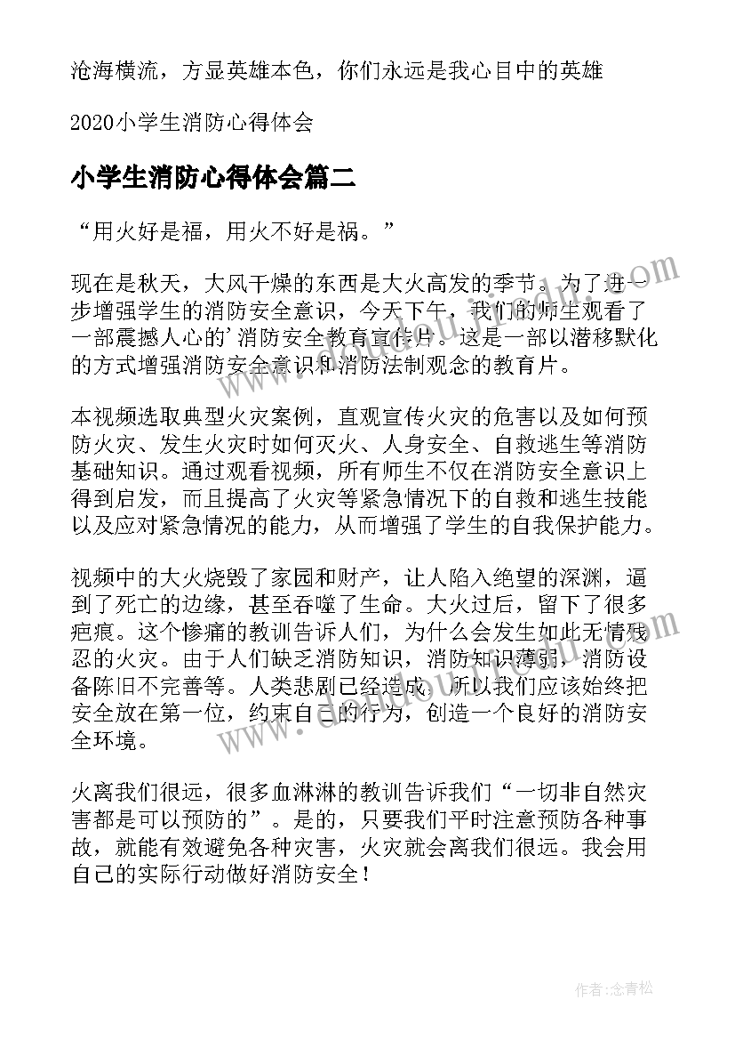 小学生消防心得体会(优秀6篇)