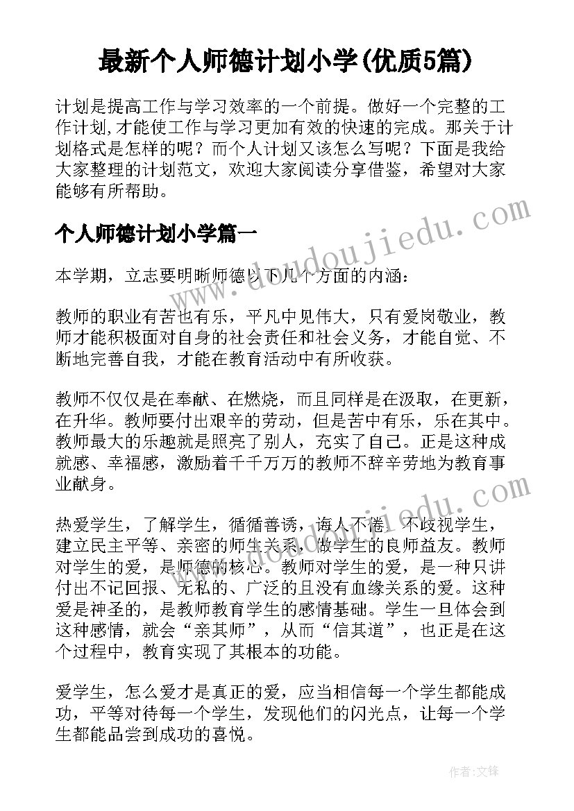 最新个人师德计划小学(优质5篇)