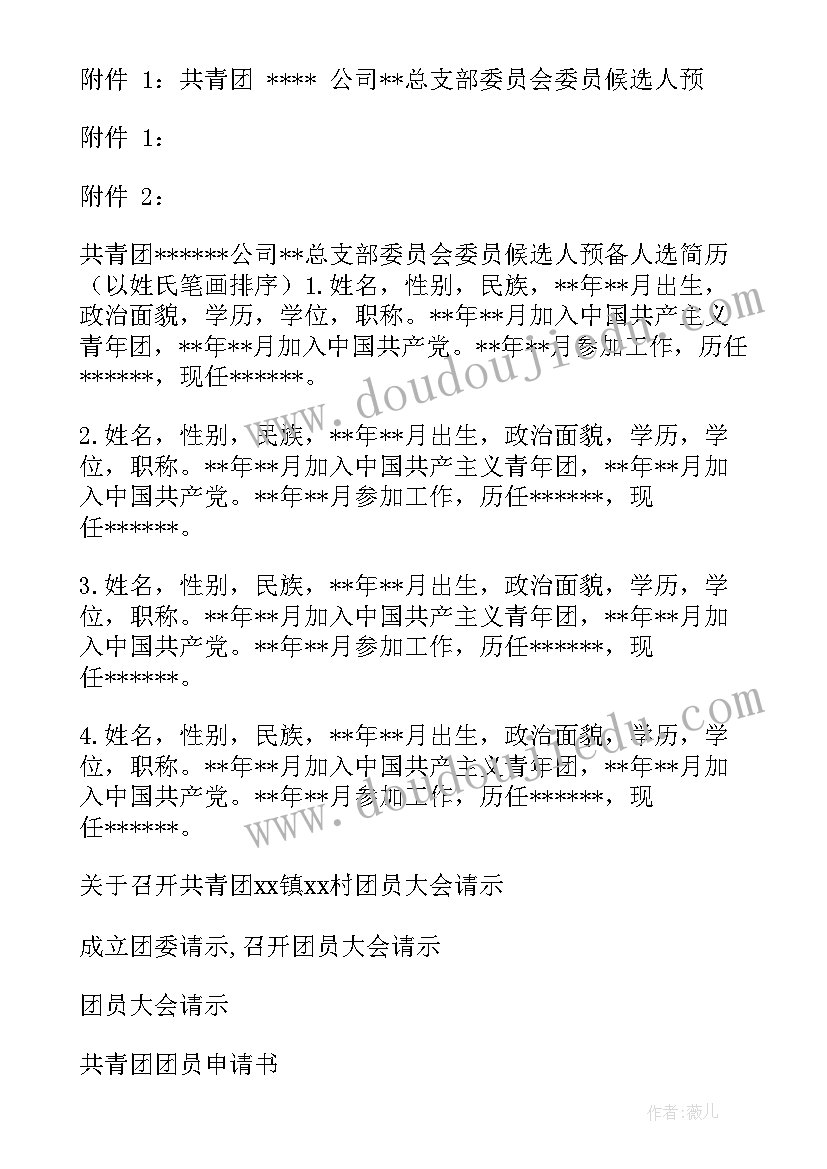 2023年支部团员大会会议记录(大全5篇)