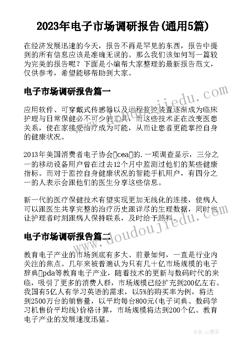 2023年电子市场调研报告(通用5篇)