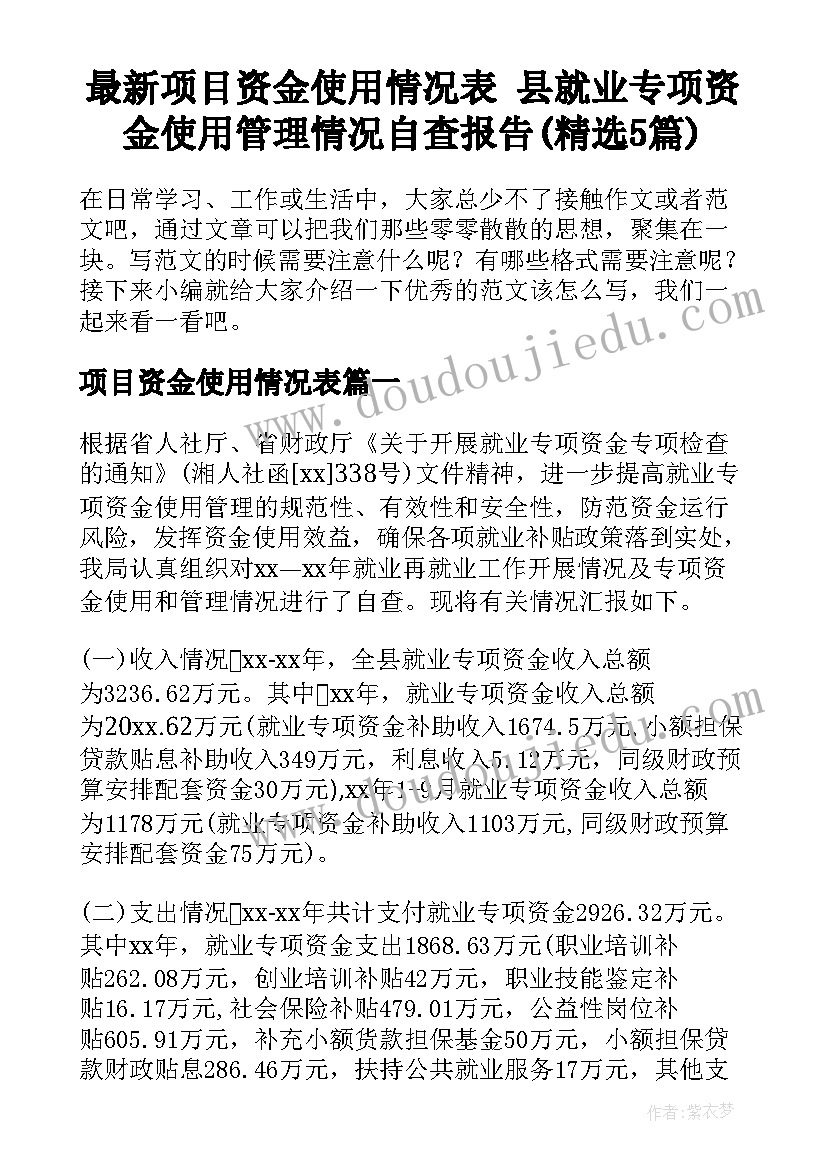 最新项目资金使用情况表 县就业专项资金使用管理情况自查报告(精选5篇)