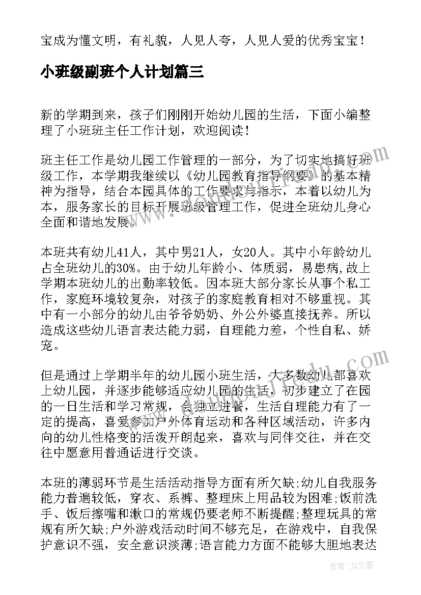 小班级副班个人计划(通用10篇)