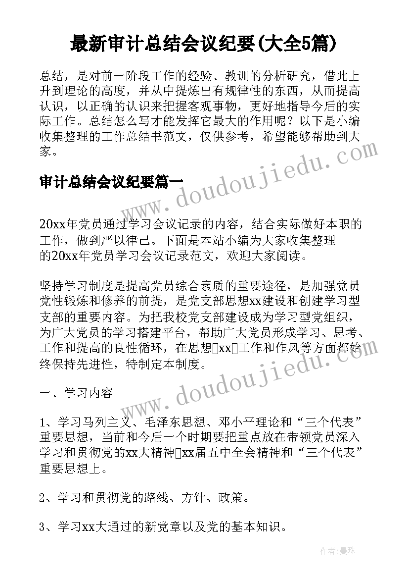 最新审计总结会议纪要(大全5篇)