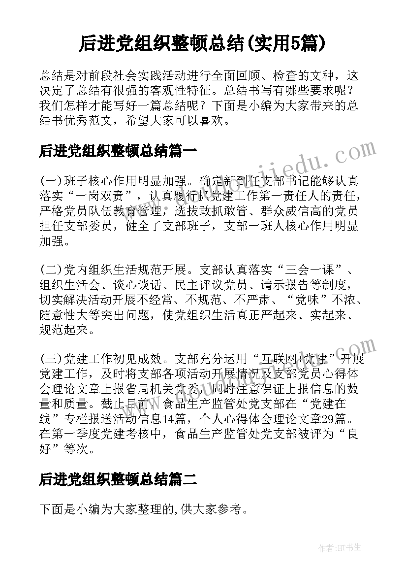 后进党组织整顿总结(实用5篇)