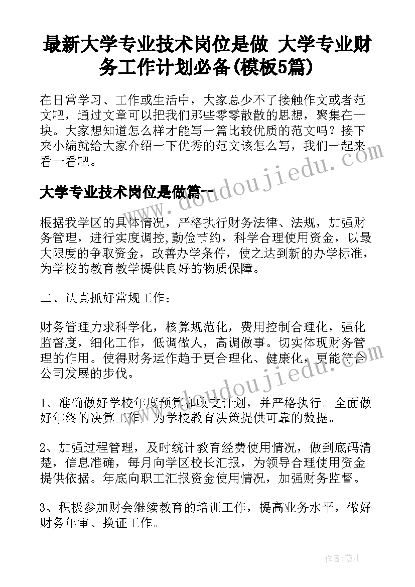 最新大学专业技术岗位是做 大学专业财务工作计划必备(模板5篇)