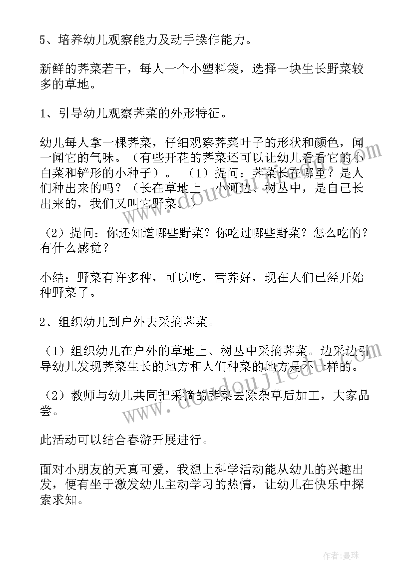 最新有趣的天平教案(模板10篇)