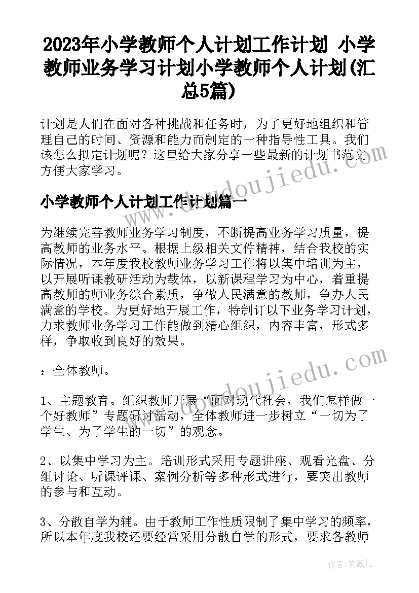 2023年小学教师个人计划工作计划 小学教师业务学习计划小学教师个人计划(汇总5篇)