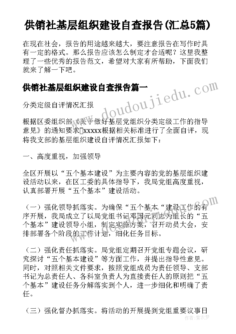 供销社基层组织建设自查报告(汇总5篇)