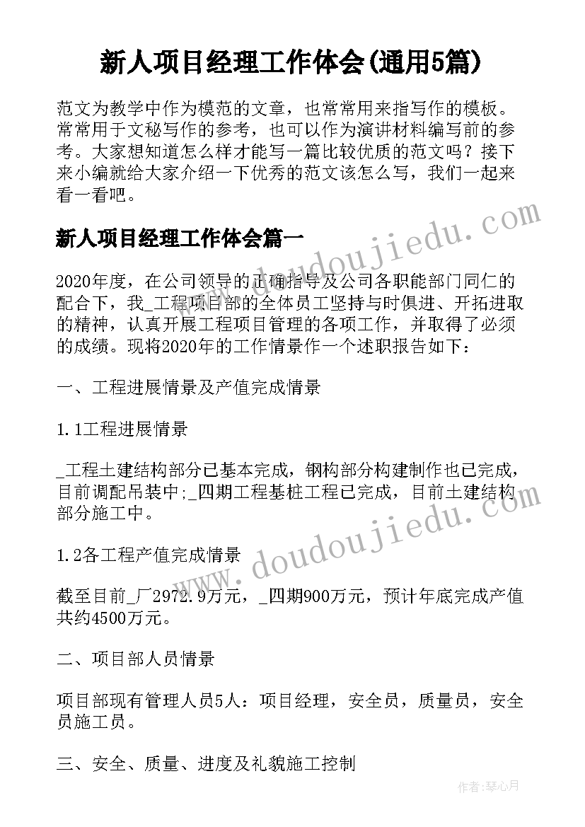 新人项目经理工作体会(通用5篇)