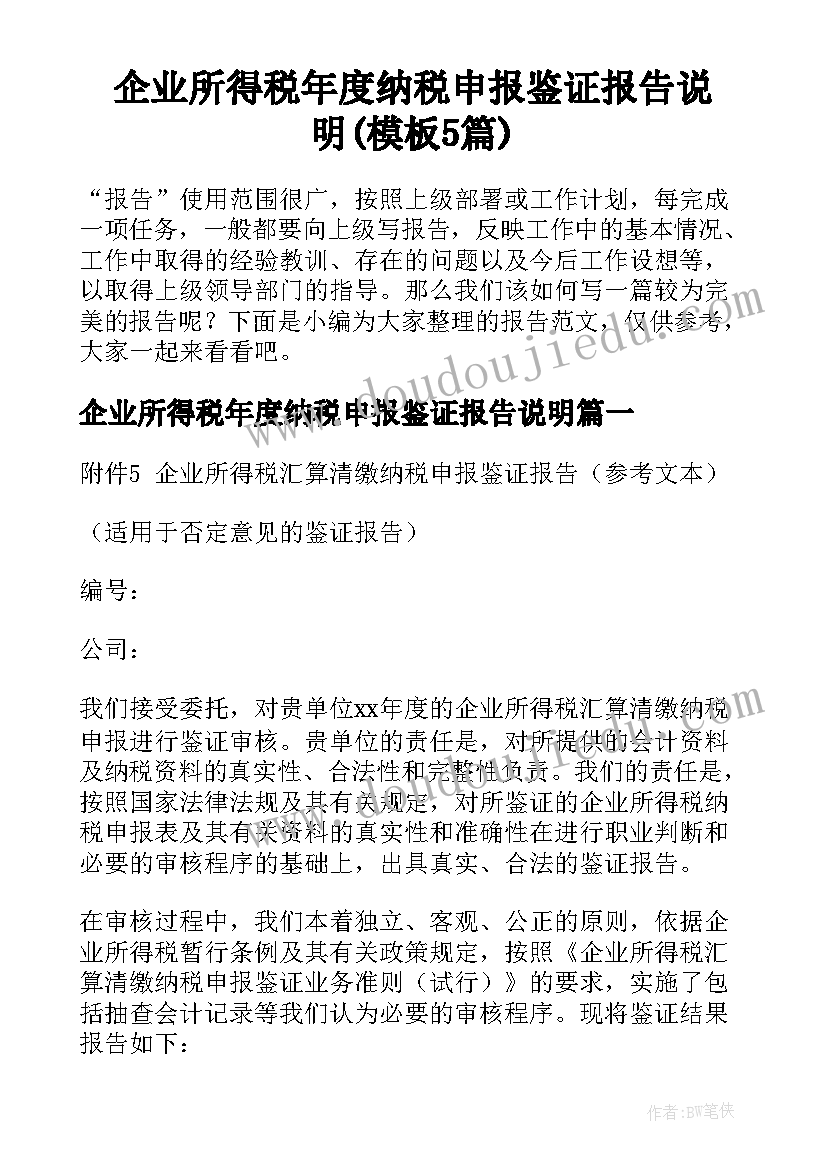 企业所得税年度纳税申报鉴证报告说明(模板5篇)