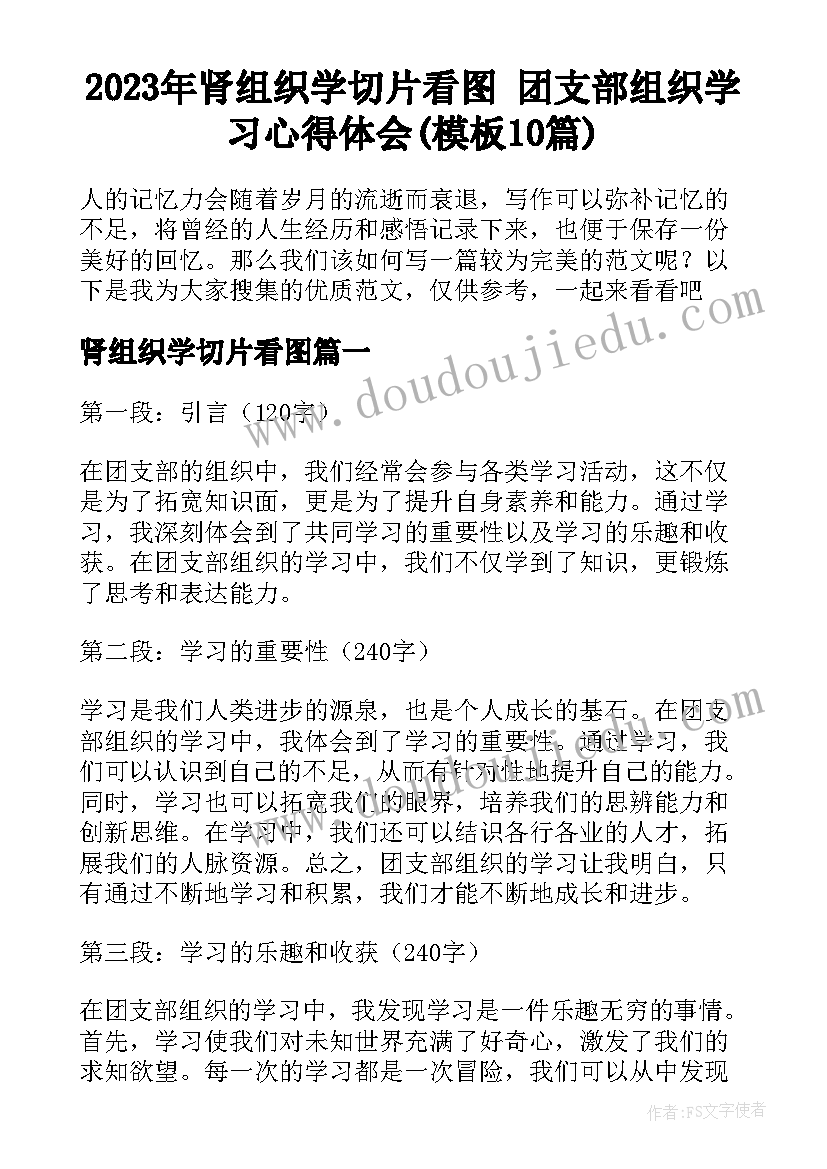 2023年肾组织学切片看图 团支部组织学习心得体会(模板10篇)