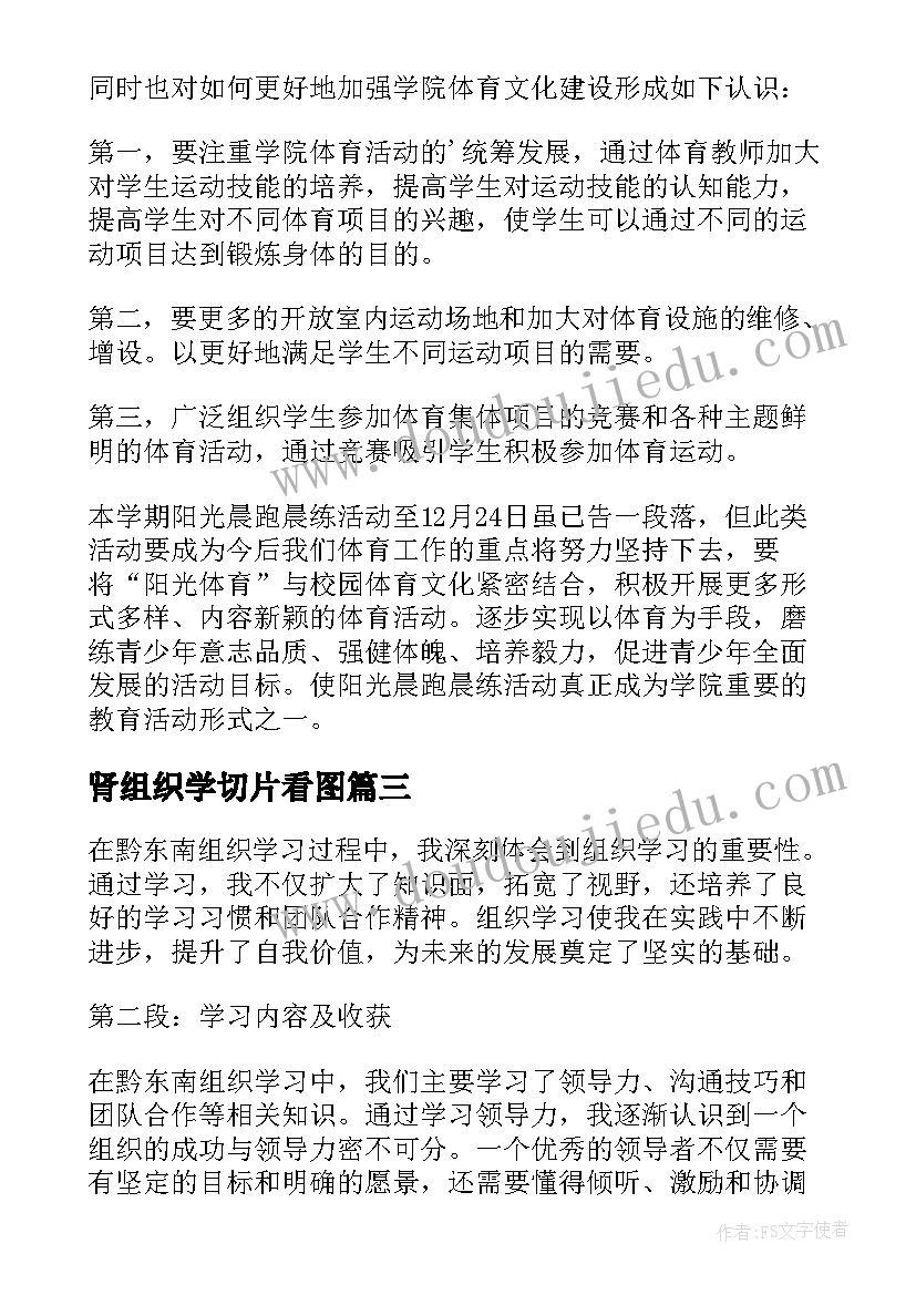 2023年肾组织学切片看图 团支部组织学习心得体会(模板10篇)