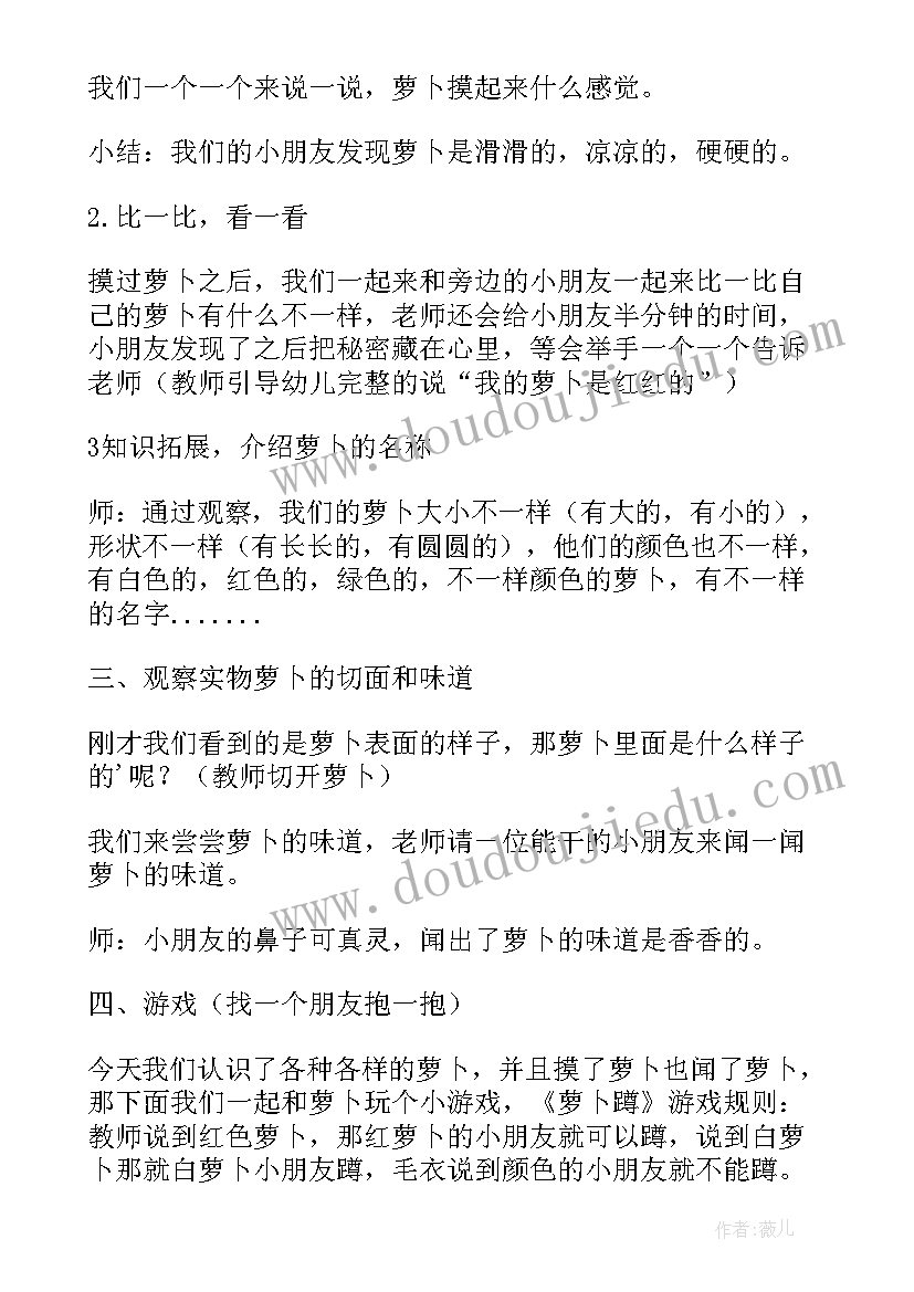 2023年小班科学活动认识水果课件 小班科学活动教案认识萝卜(优秀5篇)