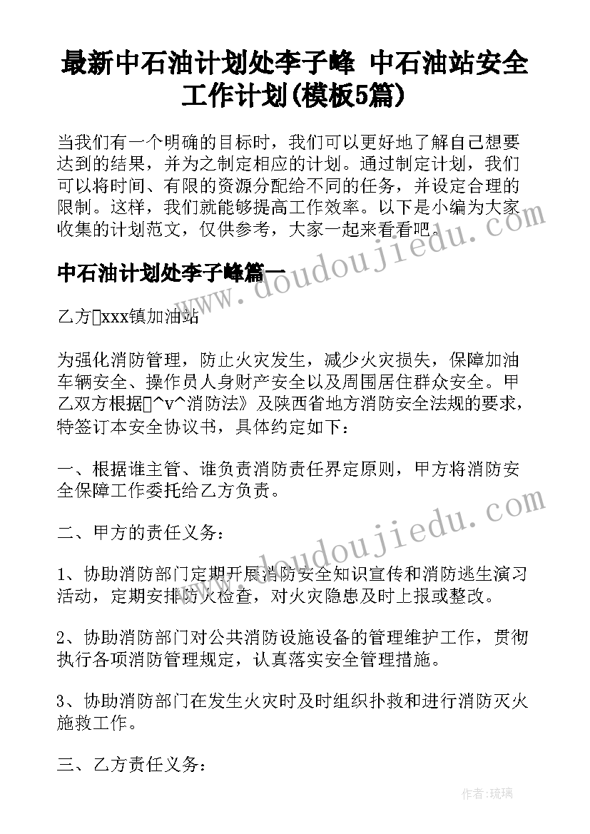 最新中石油计划处李子峰 中石油站安全工作计划(模板5篇)