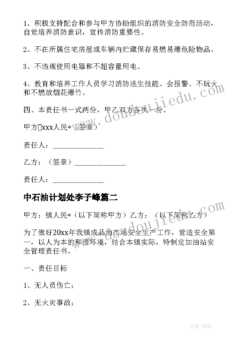 最新中石油计划处李子峰 中石油站安全工作计划(模板5篇)