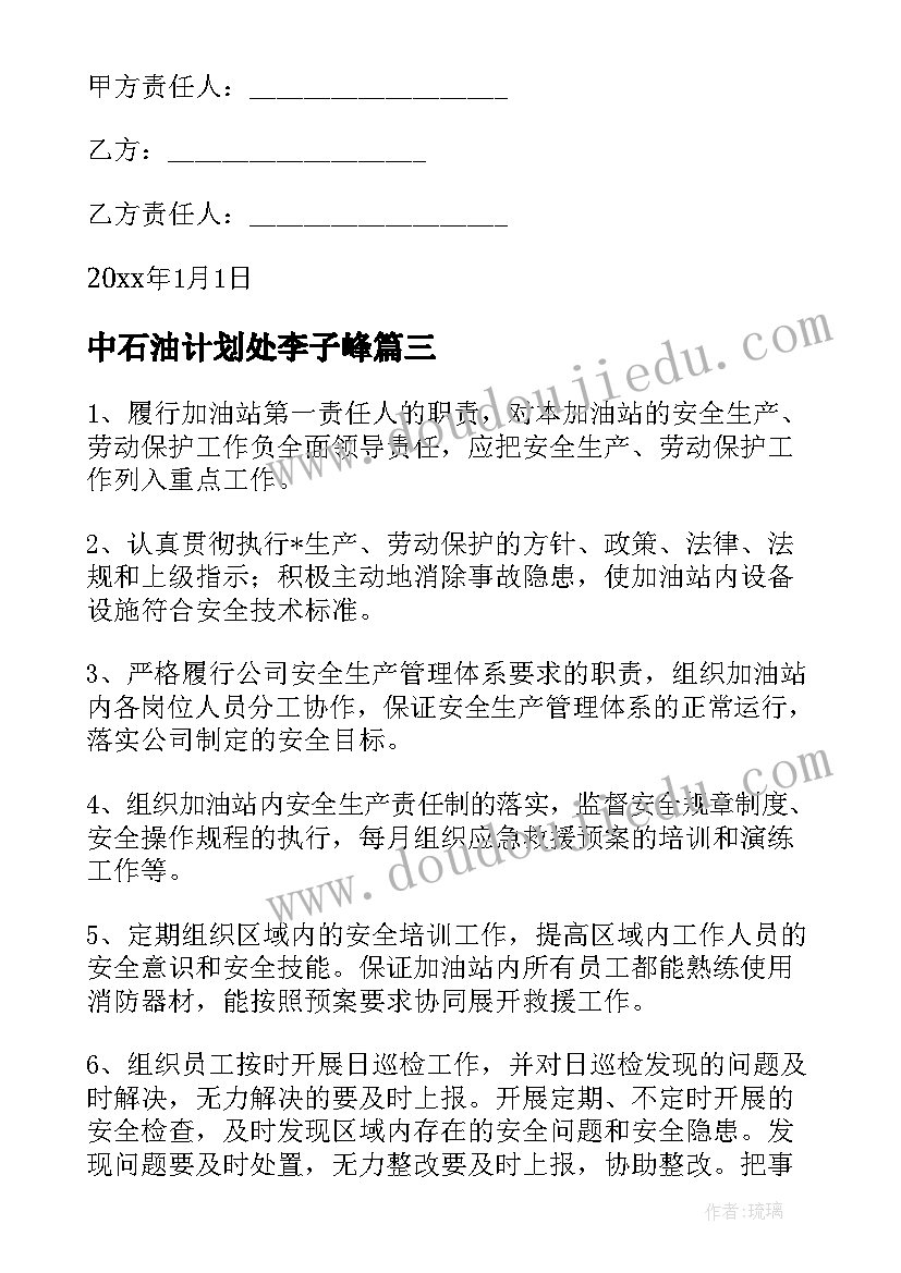 最新中石油计划处李子峰 中石油站安全工作计划(模板5篇)