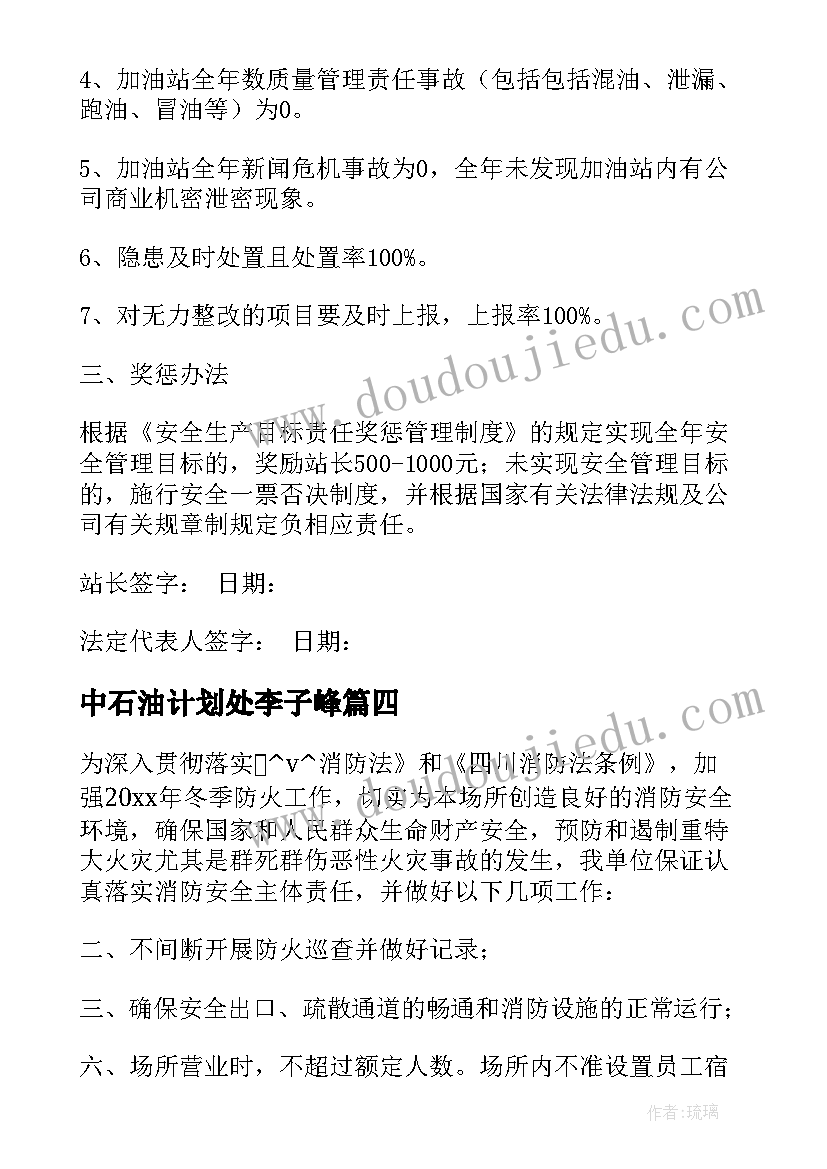 最新中石油计划处李子峰 中石油站安全工作计划(模板5篇)