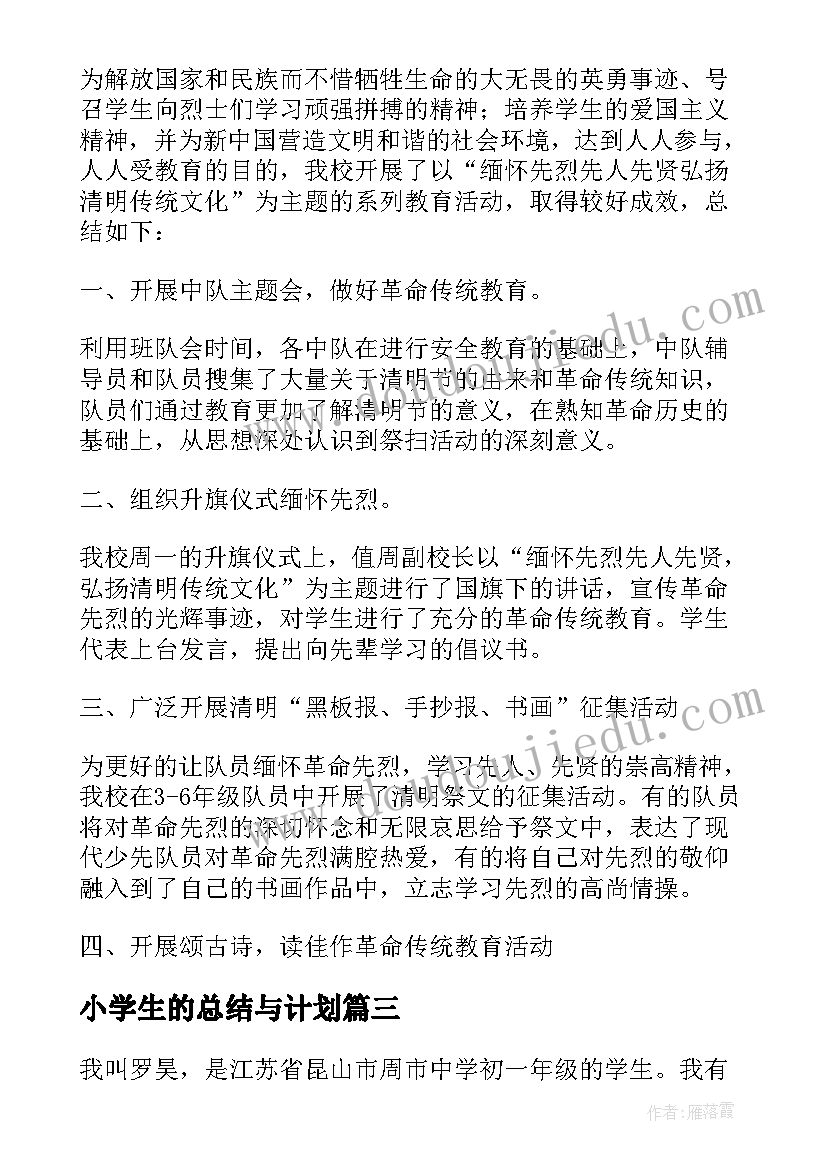 2023年小学生的总结与计划(精选7篇)