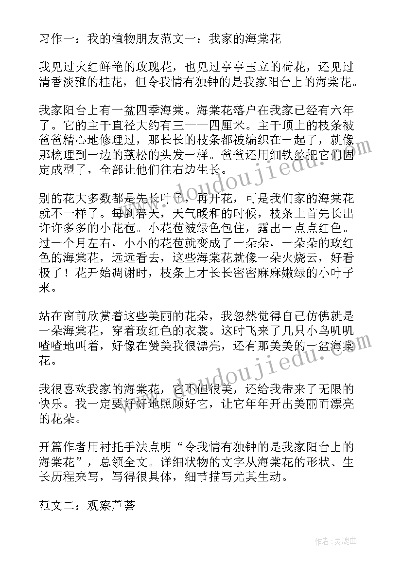 小学三年级语文有哪些 三年级语文习作一教案(大全5篇)