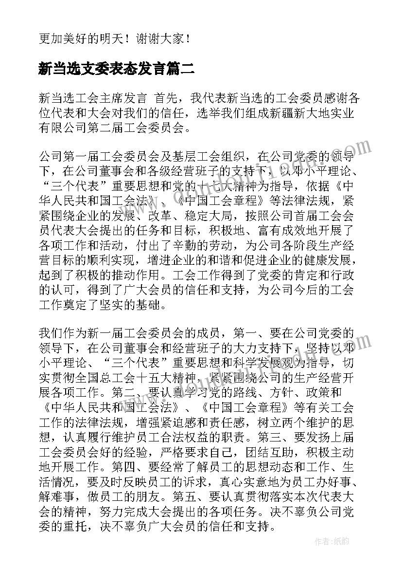 最新新当选支委表态发言 新当选市长就职表态发言(大全10篇)