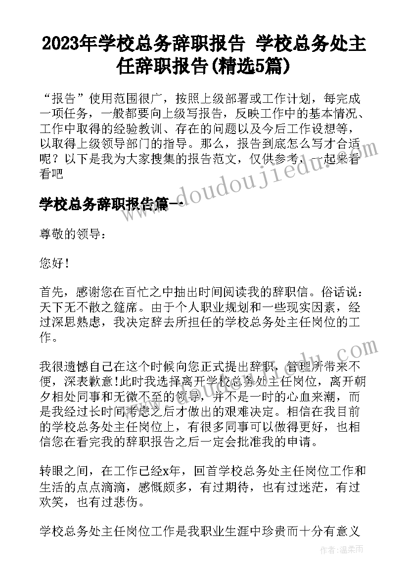 2023年学校总务辞职报告 学校总务处主任辞职报告(精选5篇)