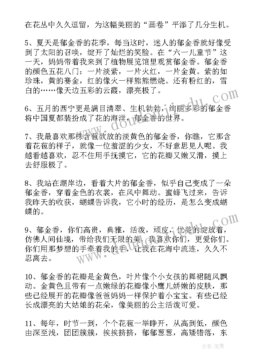 2023年郁金香的好词好句摘抄(通用5篇)