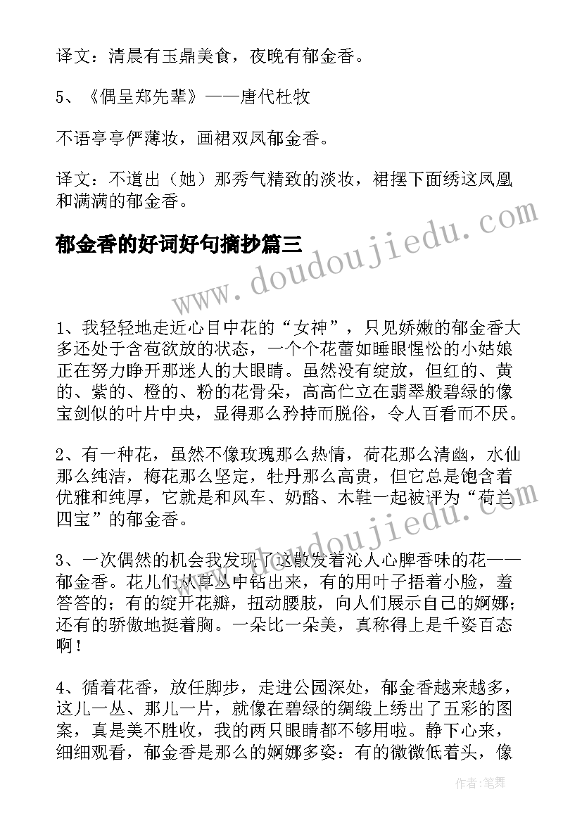 2023年郁金香的好词好句摘抄(通用5篇)