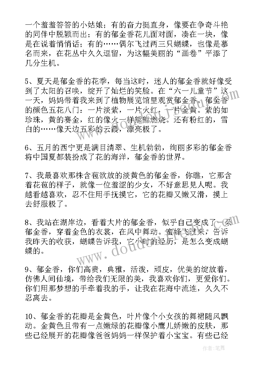 2023年郁金香的好词好句摘抄(通用5篇)