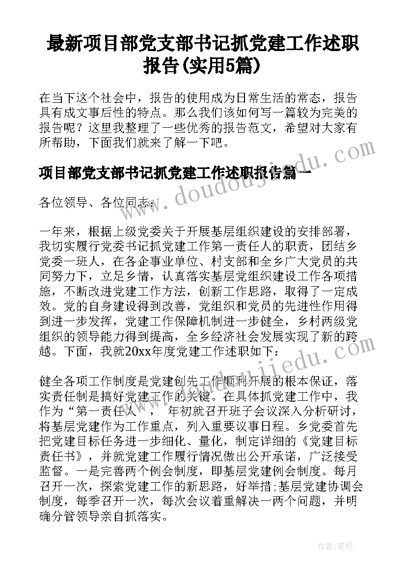 最新项目部党支部书记抓党建工作述职报告(实用5篇)