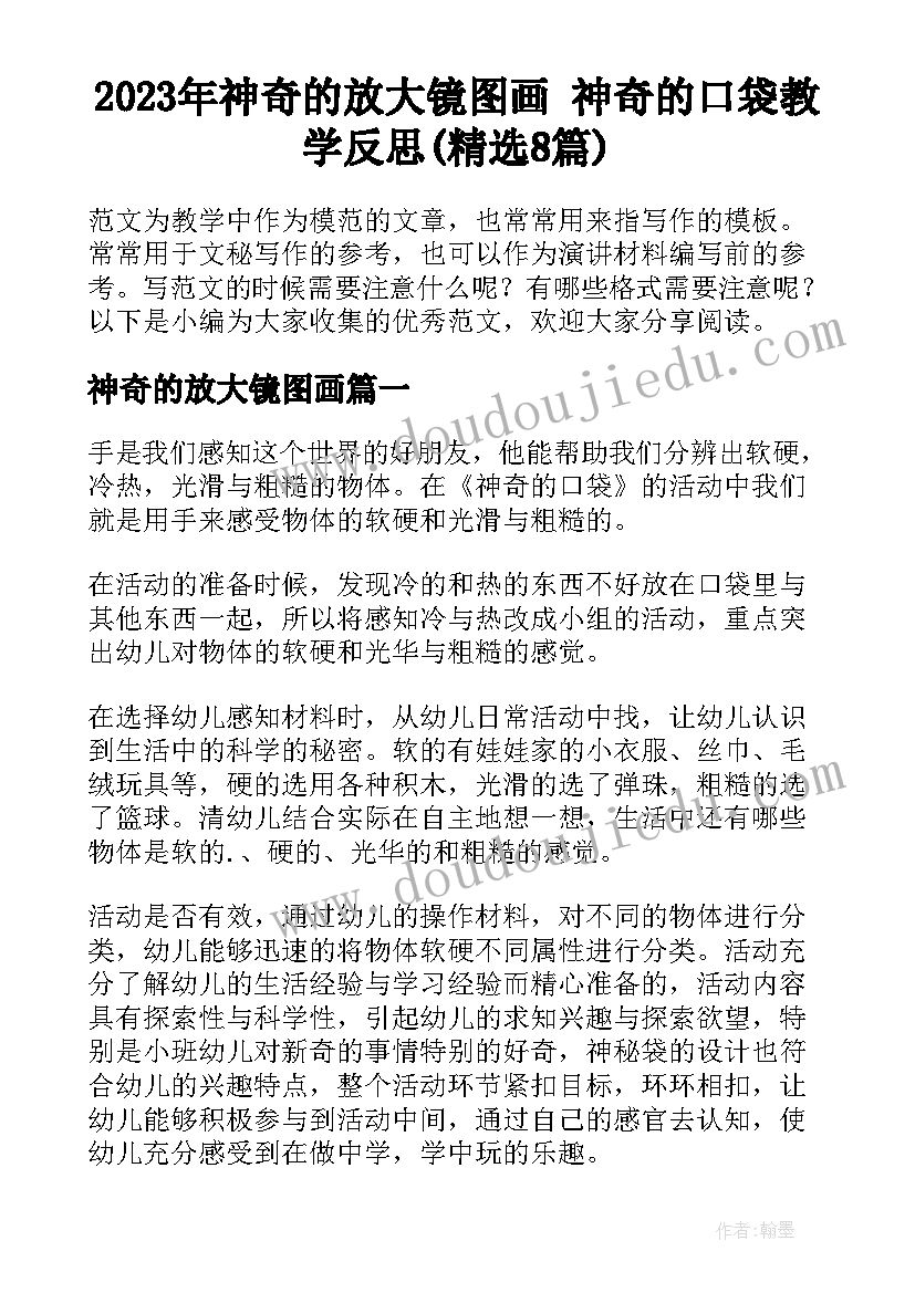 2023年神奇的放大镜图画 神奇的口袋教学反思(精选8篇)