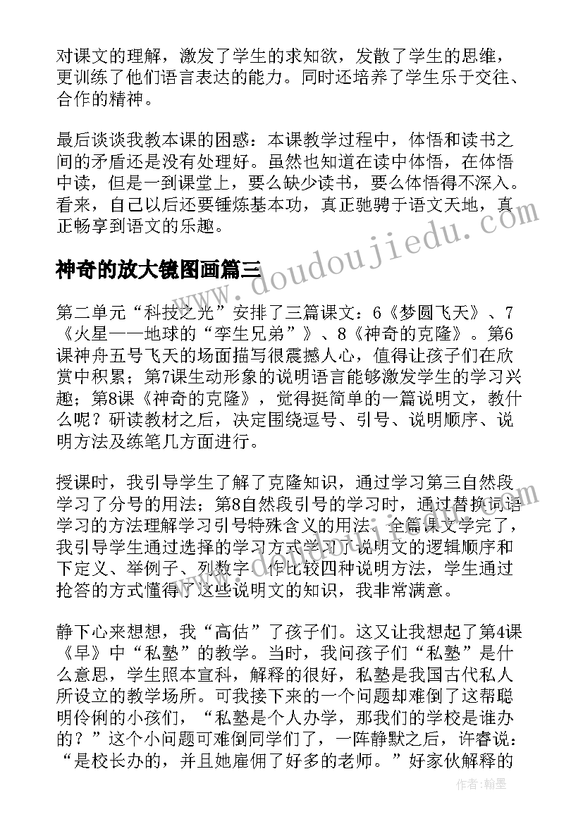 2023年神奇的放大镜图画 神奇的口袋教学反思(精选8篇)